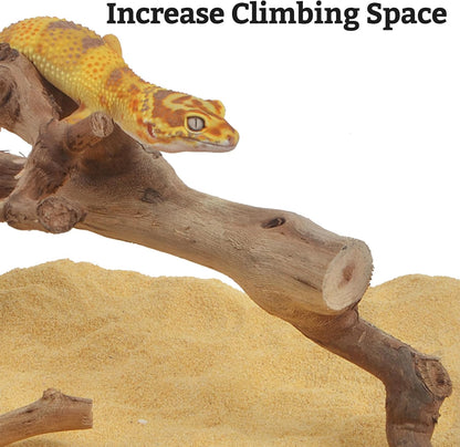 Snake Climbing Branch, 2Pcs Reptile Wood Natural Cork Log Tank Accessories Tree Trunk for Chameleon Bearded Dragon Gecko Snake Frog Spider
