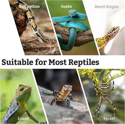 Snake Climbing Branch, 2Pcs Reptile Wood Natural Cork Log Tank Accessories Tree Trunk for Chameleon Bearded Dragon Gecko Snake Frog Spider