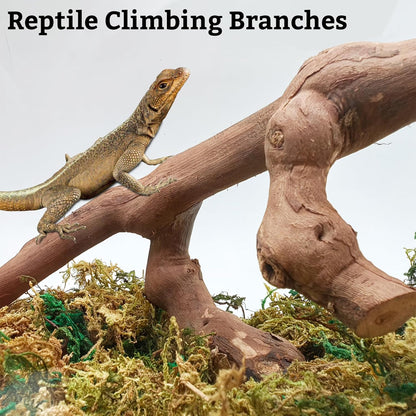 Snake Climbing Branch, 2Pcs Reptile Wood Natural Cork Log Tank Accessories Tree Trunk for Chameleon Bearded Dragon Gecko Snake Frog Spider