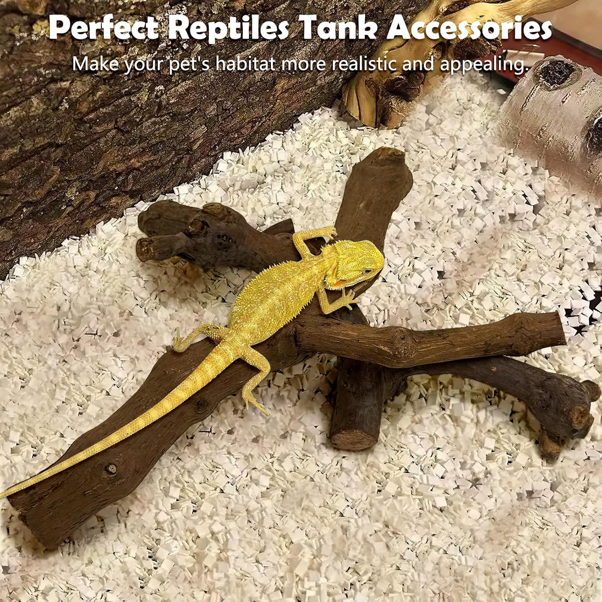 Snake Climbing Branch, 2Pcs Reptile Wood Natural Cork Log Tank Accessories Tree Trunk for Chameleon Bearded Dragon Gecko Snake Frog Spider