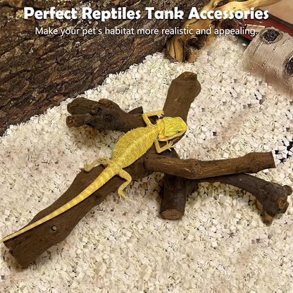 Snake Climbing Branch, 2Pcs Reptile Wood Natural Cork Log Tank Accessories Tree Trunk for Chameleon Bearded Dragon Gecko Snake Frog Spider