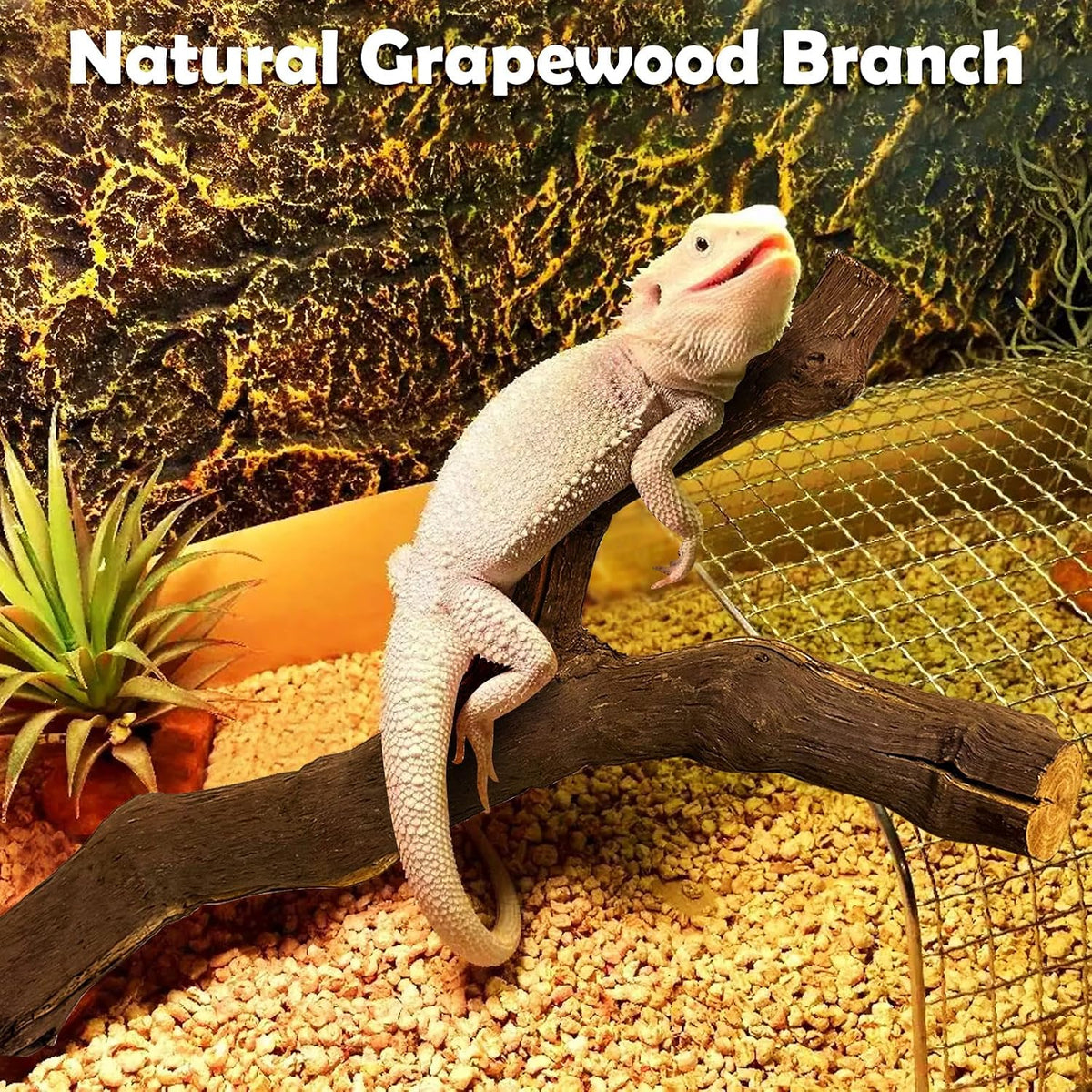 Snake Climbing Branch, 2Pcs Reptile Wood Natural Cork Log Tank Accessories Tree Trunk for Chameleon Bearded Dragon Gecko Snake Frog Spider
