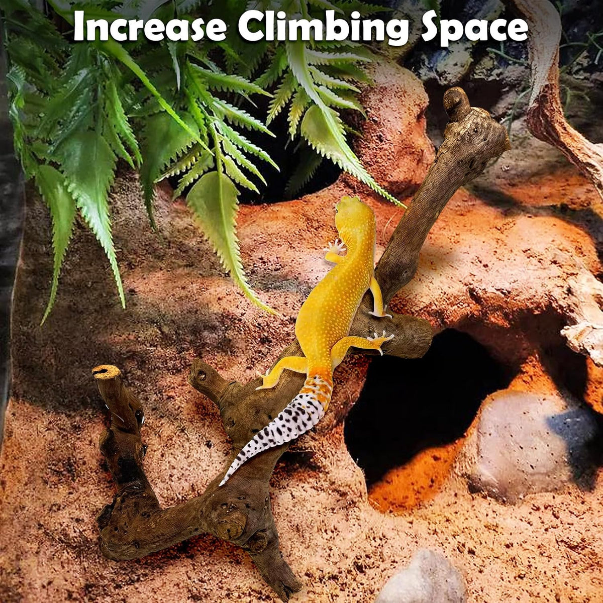Snake Climbing Branch, 2Pcs Reptile Wood Natural Cork Log Tank Accessories Tree Trunk for Chameleon Bearded Dragon Gecko Snake Frog Spider