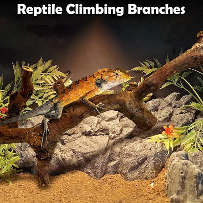 Snake Climbing Branch, 2Pcs Reptile Wood Natural Cork Log Tank Accessories Tree Trunk for Chameleon Bearded Dragon Gecko Snake Frog Spider