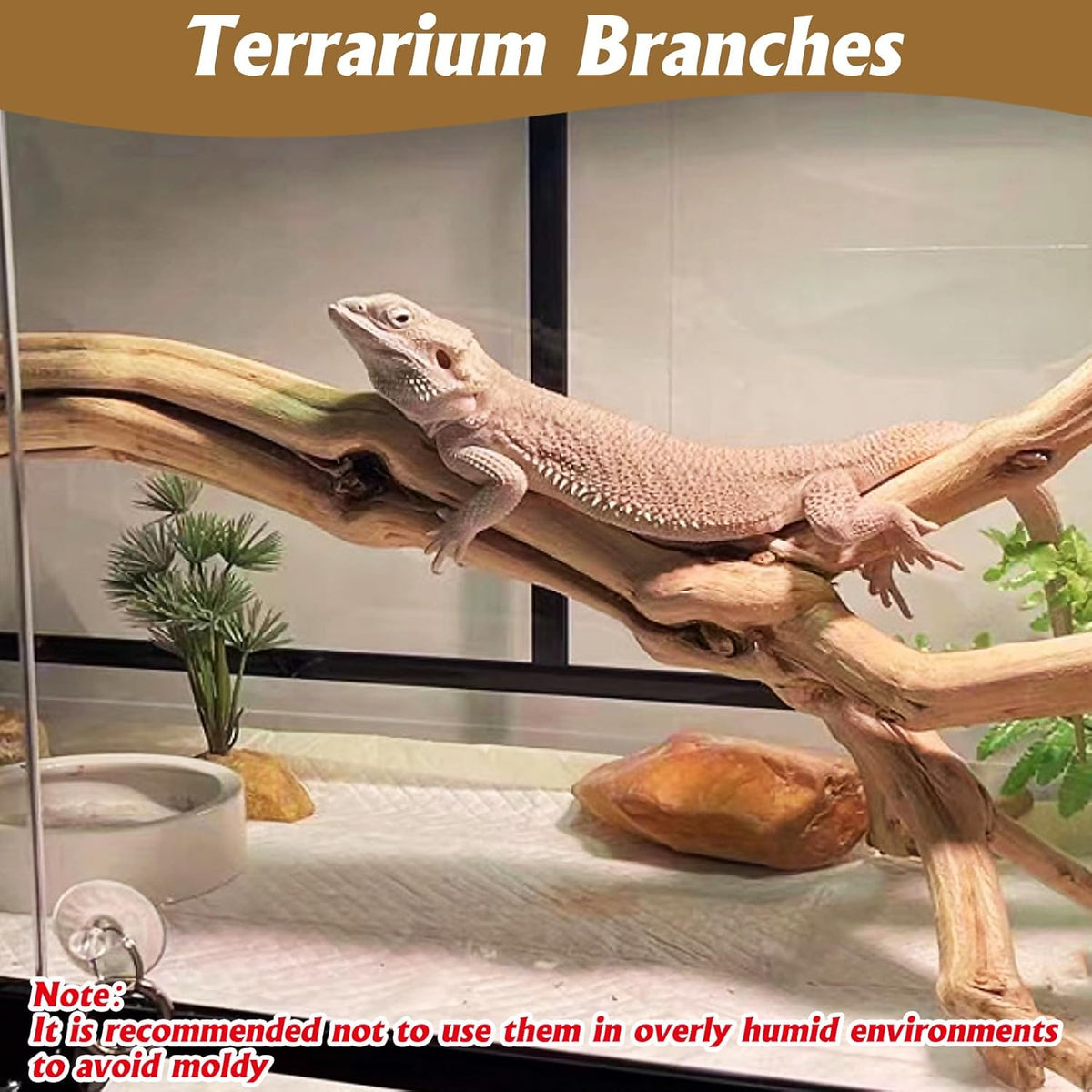 Snake Climbing Branch, 2Pcs Reptile Wood Natural Cork Log Tank Accessories Tree Trunk for Chameleon Bearded Dragon Gecko Snake Frog Spider