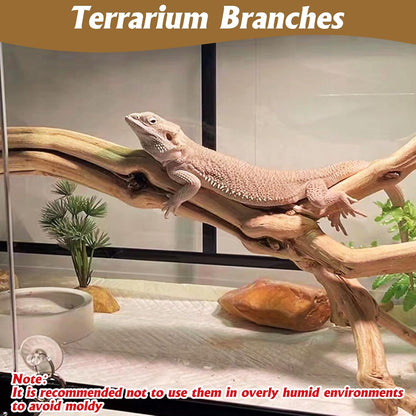 Snake Climbing Branch, 2Pcs Reptile Wood Natural Cork Log Tank Accessories Tree Trunk for Chameleon Bearded Dragon Gecko Snake Frog Spider