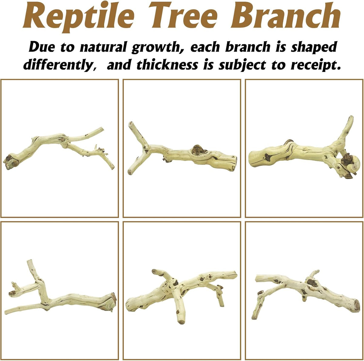 Snake Climbing Branch, 2Pcs Reptile Wood Natural Cork Log Tank Accessories Tree Trunk for Chameleon Bearded Dragon Gecko Snake Frog Spider