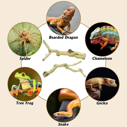 Snake Climbing Branch, 2Pcs Reptile Wood Natural Cork Log Tank Accessories Tree Trunk for Chameleon Bearded Dragon Gecko Snake Frog Spider