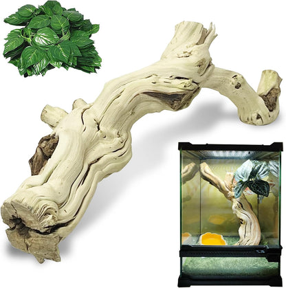 Snake Climbing Branch, 2Pcs Reptile Wood Natural Cork Log Tank Accessories Tree Trunk for Chameleon Bearded Dragon Gecko Snake Frog Spider