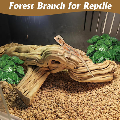 Snake Climbing Branch, 2Pcs Reptile Wood Natural Cork Log Tank Accessories Tree Trunk for Chameleon Bearded Dragon Gecko Snake Frog Spider