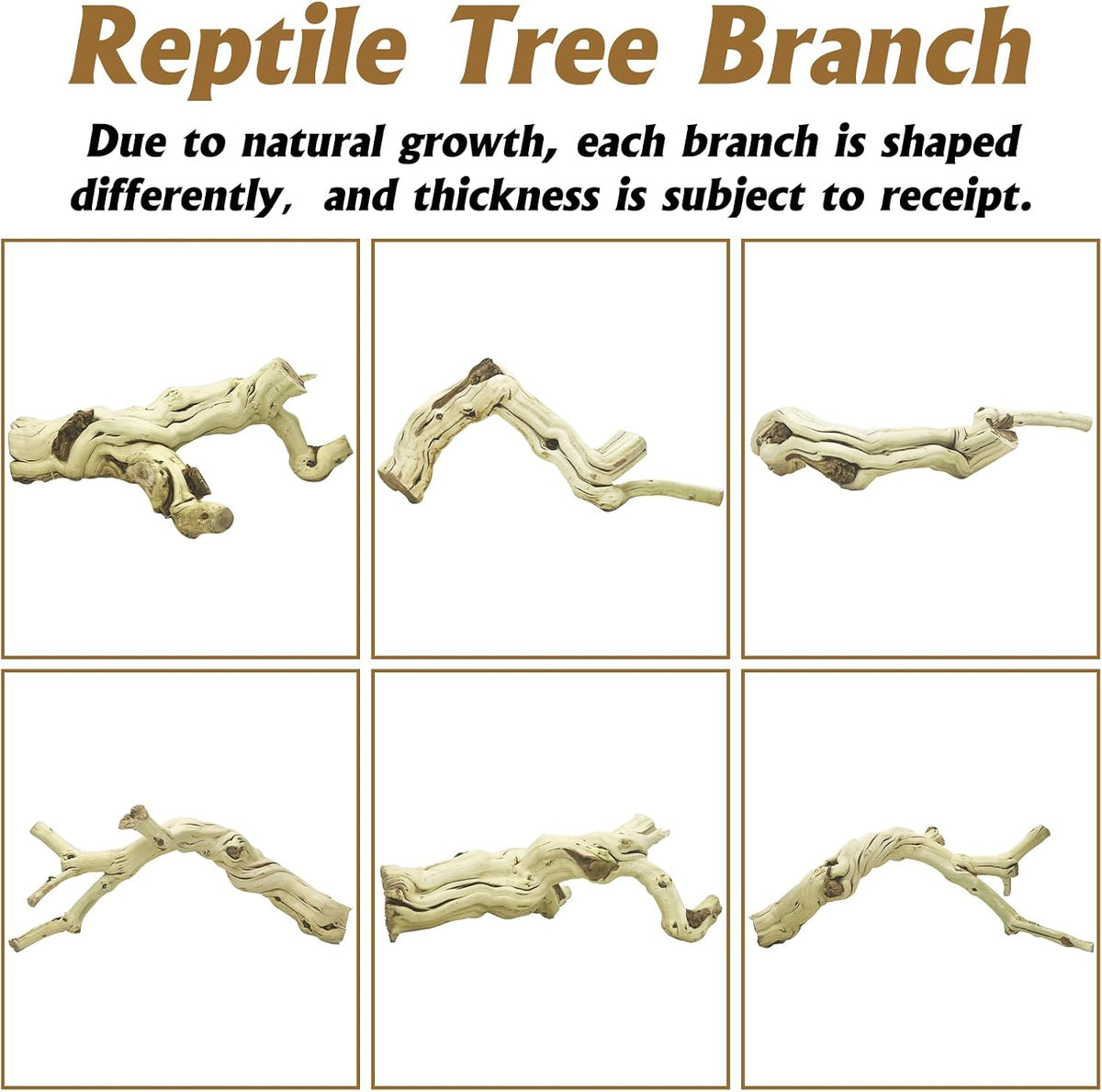 Snake Climbing Branch, 2Pcs Reptile Wood Natural Cork Log Tank Accessories Tree Trunk for Chameleon Bearded Dragon Gecko Snake Frog Spider