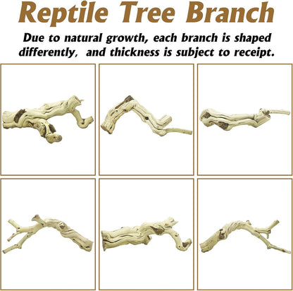 Snake Climbing Branch, 2Pcs Reptile Wood Natural Cork Log Tank Accessories Tree Trunk for Chameleon Bearded Dragon Gecko Snake Frog Spider