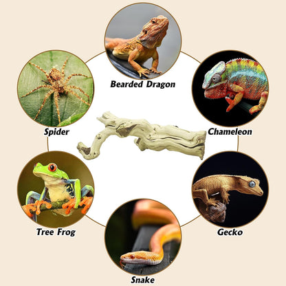 Snake Climbing Branch, 2Pcs Reptile Wood Natural Cork Log Tank Accessories Tree Trunk for Chameleon Bearded Dragon Gecko Snake Frog Spider