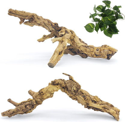 Snake Climbing Branch, 2Pcs Reptile Wood Natural Cork Log Tank Accessories Tree Trunk for Chameleon Bearded Dragon Gecko Snake Frog Spider