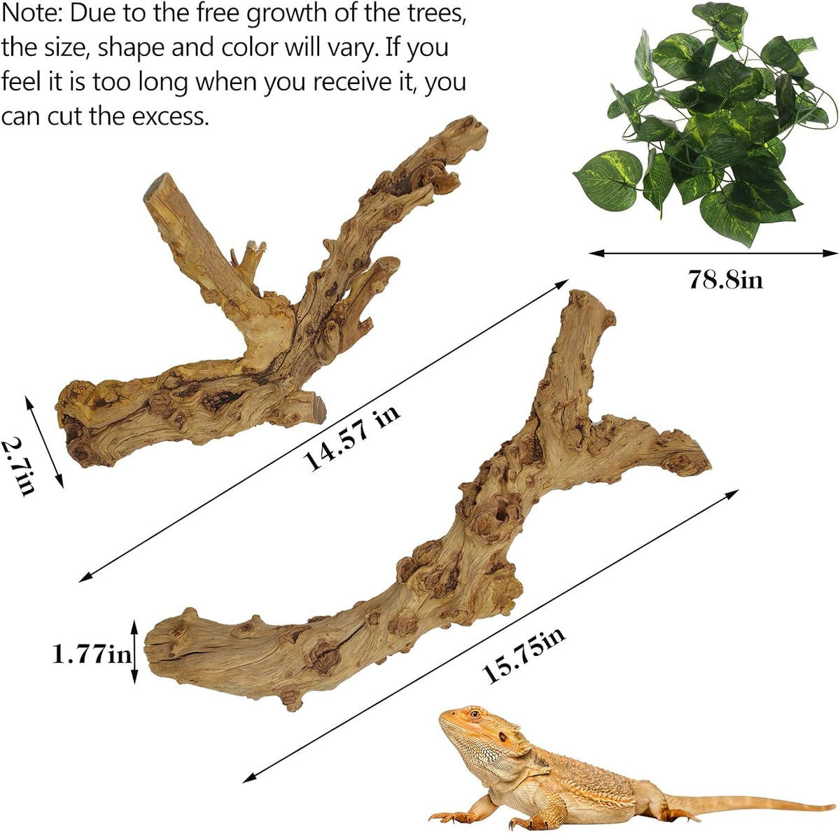 Snake Climbing Branch, 2Pcs Reptile Wood Natural Cork Log Tank Accessories Tree Trunk for Chameleon Bearded Dragon Gecko Snake Frog Spider