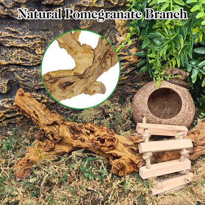 Snake Climbing Branch, 2Pcs Reptile Wood Natural Cork Log Tank Accessories Tree Trunk for Chameleon Bearded Dragon Gecko Snake Frog Spider