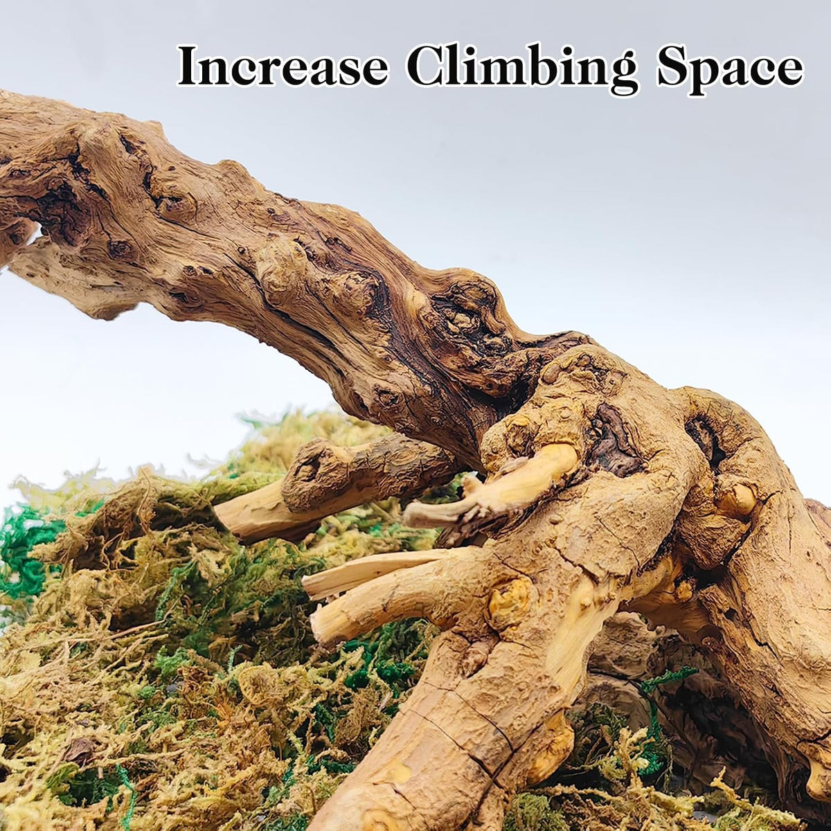 Snake Climbing Branch, 2Pcs Reptile Wood Natural Cork Log Tank Accessories Tree Trunk for Chameleon Bearded Dragon Gecko Snake Frog Spider