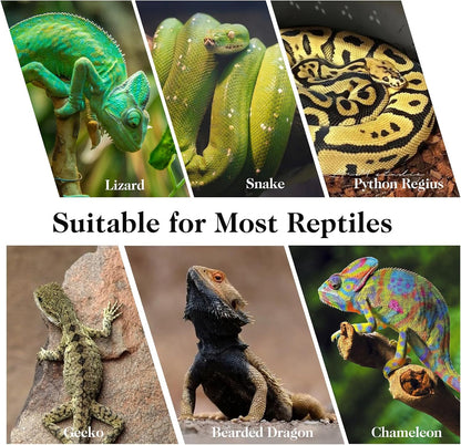 Snake Climbing Branch, 2Pcs Reptile Wood Natural Cork Log Tank Accessories Tree Trunk for Chameleon Bearded Dragon Gecko Snake Frog Spider