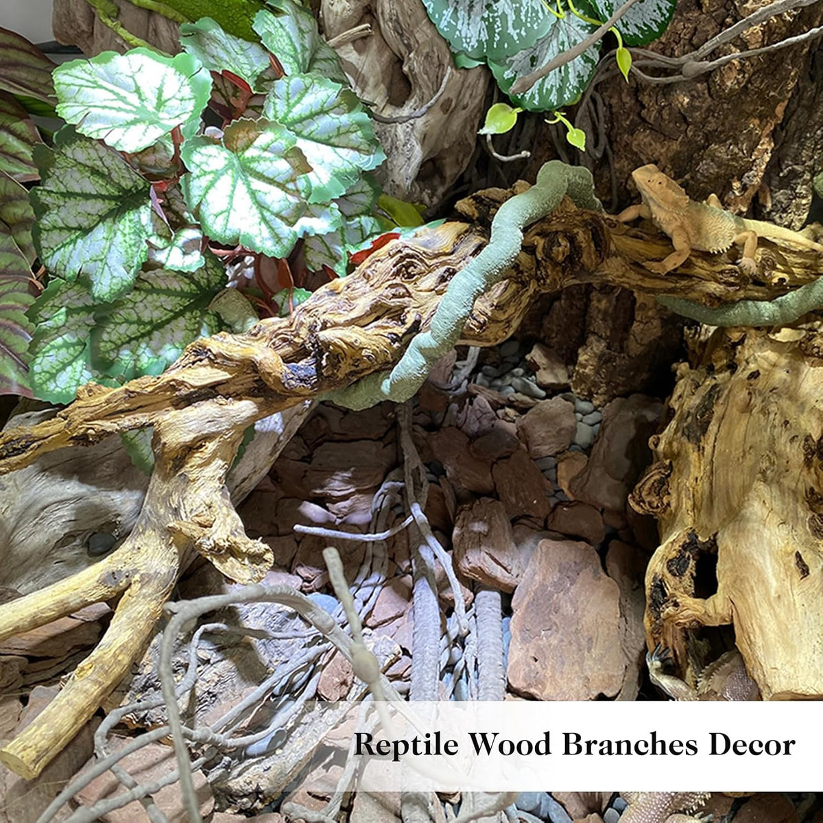 Snake Climbing Branch, 2Pcs Reptile Wood Natural Cork Log Tank Accessories Tree Trunk for Chameleon Bearded Dragon Gecko Snake Frog Spider