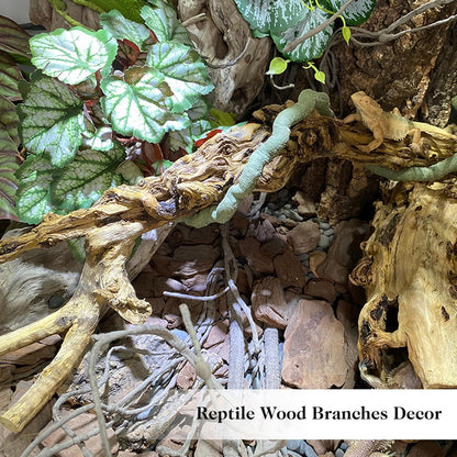 Snake Climbing Branch, 2Pcs Reptile Wood Natural Cork Log Tank Accessories Tree Trunk for Chameleon Bearded Dragon Gecko Snake Frog Spider
