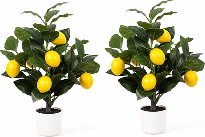 2 Pack 15" Fake Lemon Tree with 12 Lemons Fruit & White Pot | Artificial lemons fruit plant, high quality silk & plastic, for home, office, living room table, desk