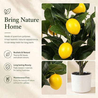 2 Pack 15" Fake Lemon Tree with 12 Lemons Fruit & White Pot | Artificial lemons fruit plant, high quality silk & plastic, for home, office, living room table, desk