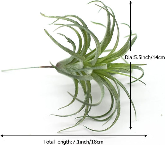 2PCS Artificial Flocking Tillandsia Air Plants Faux Succulents Bromeliads for Indoor/Outdoor Garden and Home Decor, Terrarium Decorations, Arrangements, Office, and Displays(Small)