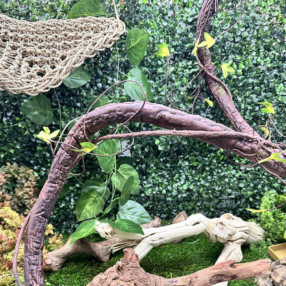 Extra Large Reptile Vines Thick Terrarium Plants 78 Inches Long Flexible Climbing Branch with Leaves Snake Tank Accessories Greenery Habitat Decor for Bearded Dragon Chameleon Gecko Lizard