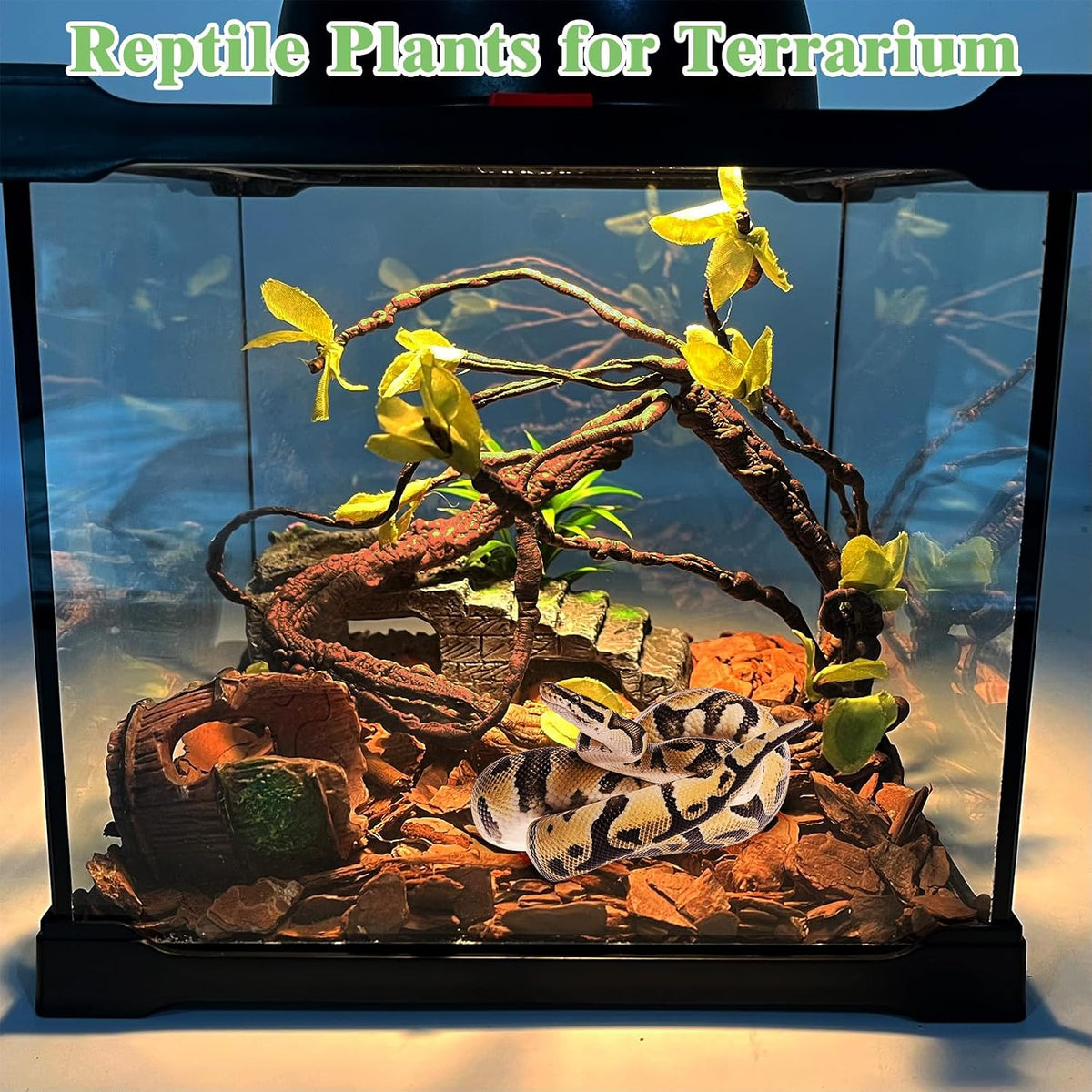 Extra Large Reptile Vines Thick Terrarium Plants 78 Inches Long Flexible Climbing Branch with Leaves Snake Tank Accessories Greenery Habitat Decor for Bearded Dragon Chameleon Gecko Lizard