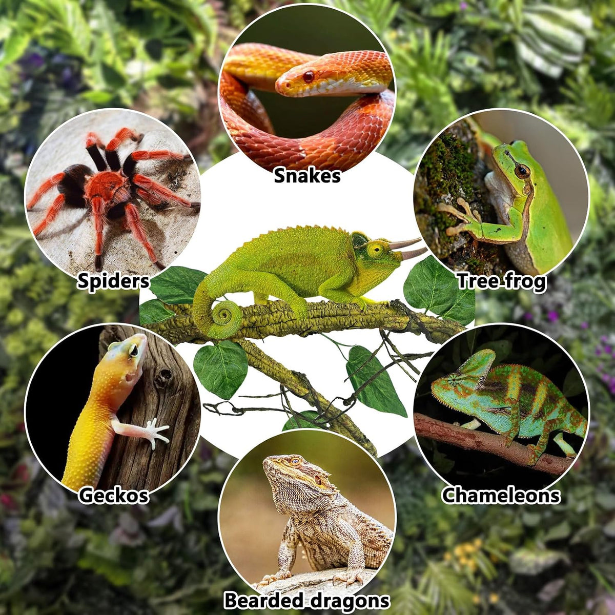 Extra Large Reptile Vines Thick Terrarium Plants 78 Inches Long Flexible Climbing Branch with Leaves Snake Tank Accessories Greenery Habitat Decor for Bearded Dragon Chameleon Gecko Lizard
