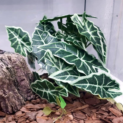 Fake Reptile Plants for Terrarium,Habitat Decor,Artificial Plant | Reptile Terrarium Decor,Fake Plants with Base for Bearded Dragon Gecko Tortoise Snake Tank Accessories-Monstera