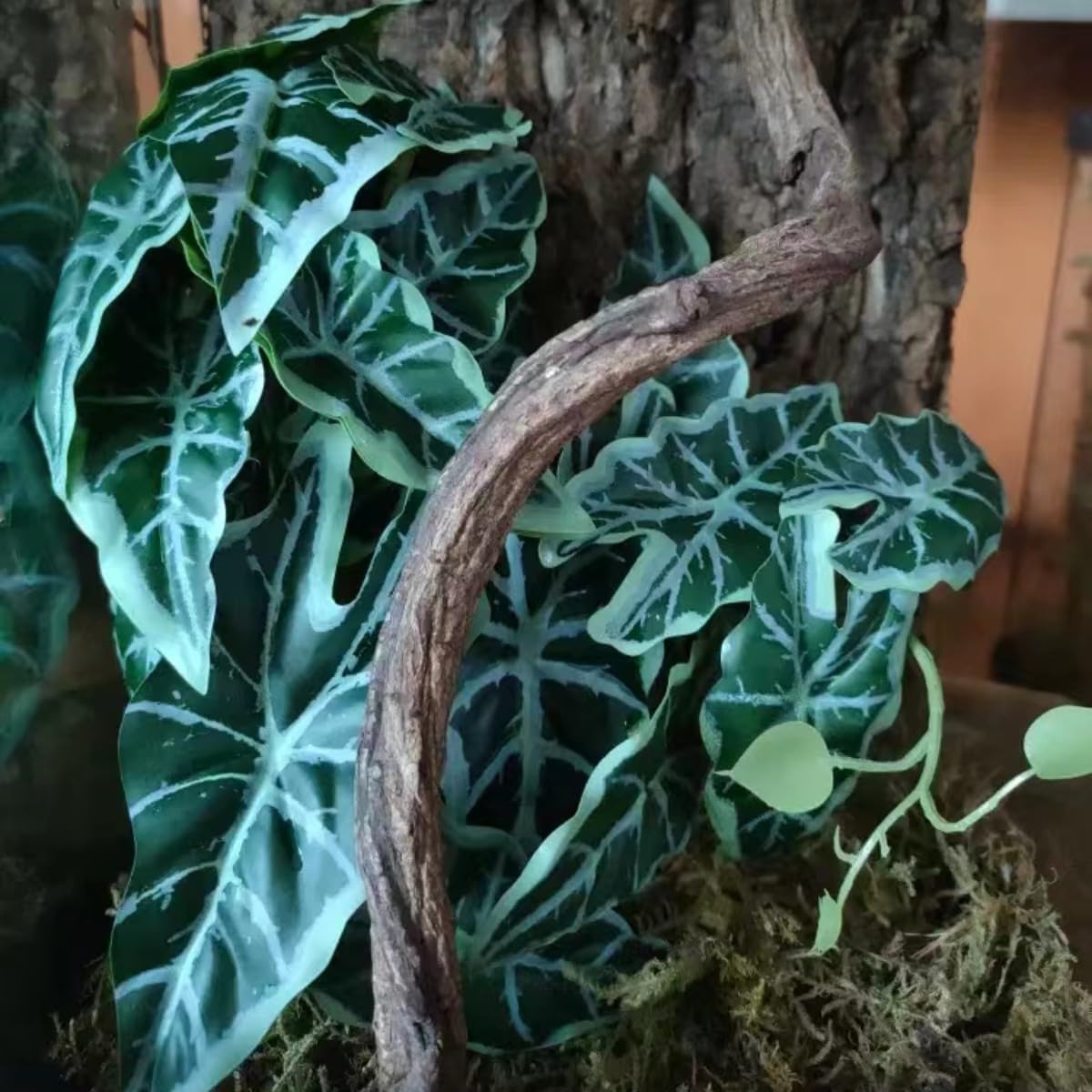 Fake Reptile Plants for Terrarium,Habitat Decor,Artificial Plant | Reptile Terrarium Decor,Fake Plants with Base for Bearded Dragon Gecko Tortoise Snake Tank Accessories-Monstera
