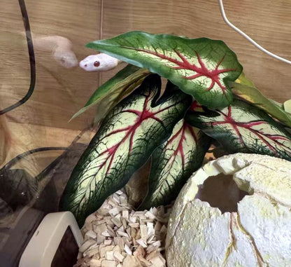 Fake Reptile Plants for Terrarium,Habitat Decor,Artificial Plant | Reptile Terrarium Decor,Fake Plants with Base for Bearded Dragon Gecko Tortoise Snake Tank Accessories-Monstera