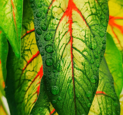 Fake Reptile Plants for Terrarium,Habitat Decor,Artificial Plant | Reptile Terrarium Decor,Fake Plants with Base for Bearded Dragon Gecko Tortoise Snake Tank Accessories-Monstera