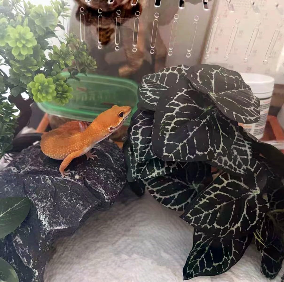 Fake Reptile Plants for Terrarium,Habitat Decor,Artificial Plant | Reptile Terrarium Decor,Fake Plants with Base for Bearded Dragon Gecko Tortoise Snake Tank Accessories-Monstera
