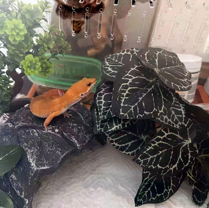 Fake Reptile Plants for Terrarium,Habitat Decor,Artificial Plant | Reptile Terrarium Decor,Fake Plants with Base for Bearded Dragon Gecko Tortoise Snake Tank Accessories-Monstera