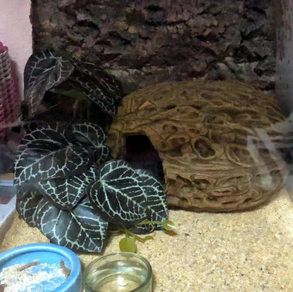 Fake Reptile Plants for Terrarium,Habitat Decor,Artificial Plant | Reptile Terrarium Decor,Fake Plants with Base for Bearded Dragon Gecko Tortoise Snake Tank Accessories-Monstera