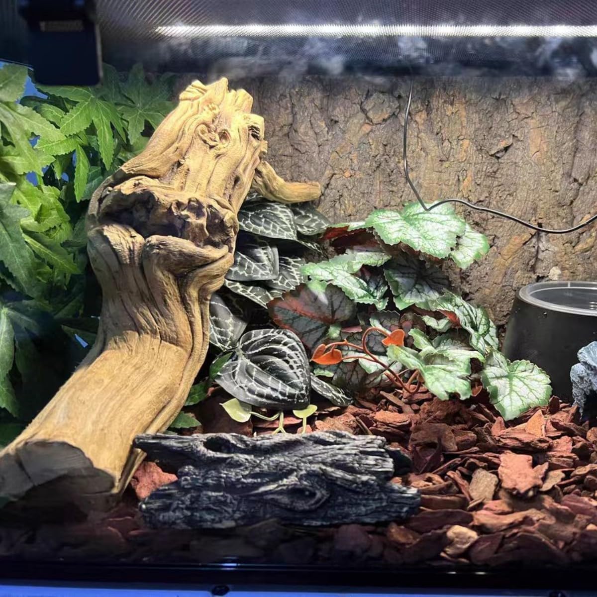 Fake Reptile Plants for Terrarium,Habitat Decor,Artificial Plant | Reptile Terrarium Decor,Fake Plants with Base for Bearded Dragon Gecko Tortoise Snake Tank Accessories-Monstera