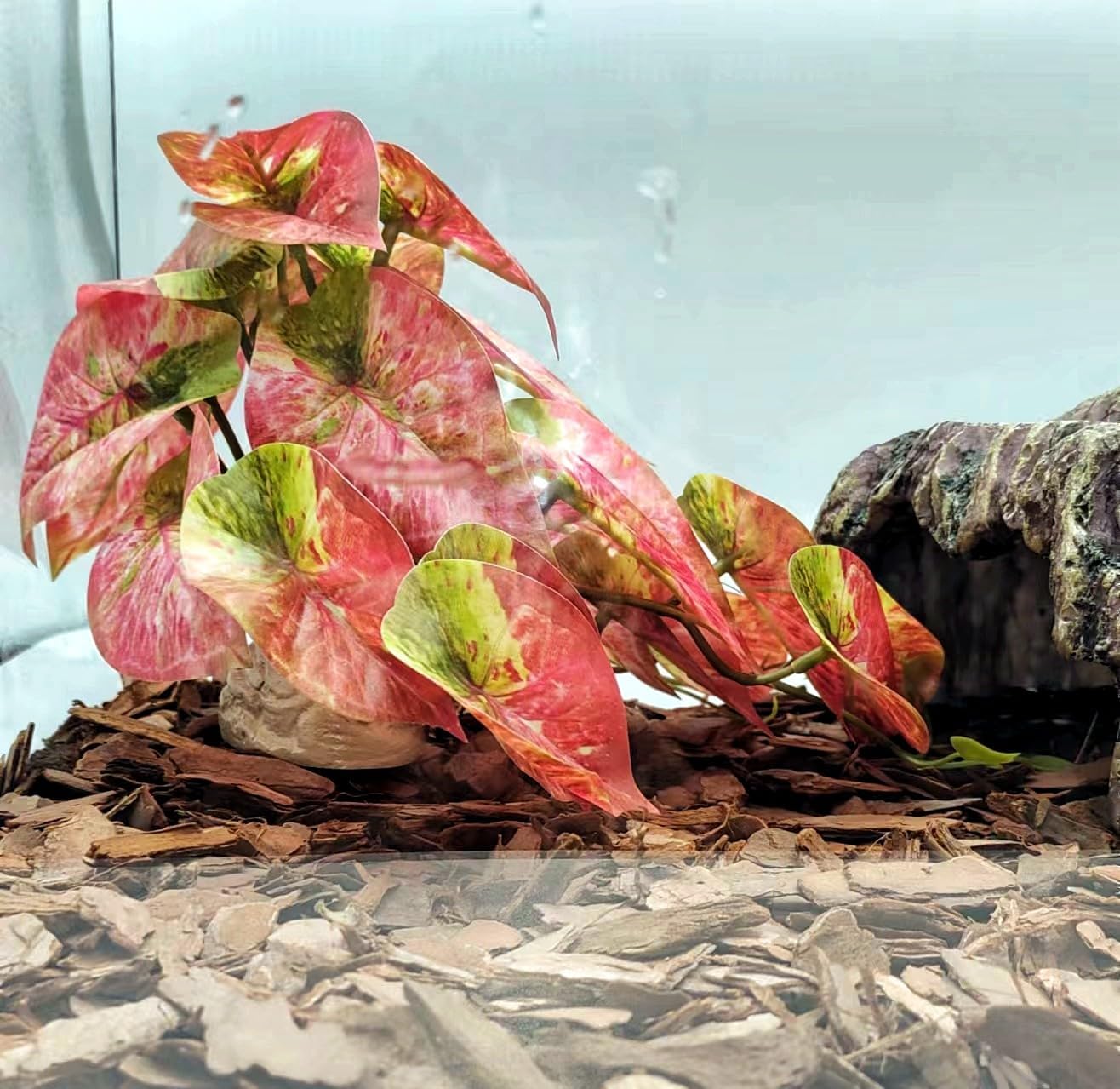 Fake Reptile Plants for Terrarium,Habitat Decor,Artificial Plant | Reptile Terrarium Decor,Fake Plants with Base for Bearded Dragon Gecko Tortoise Snake Tank Accessories-Monstera