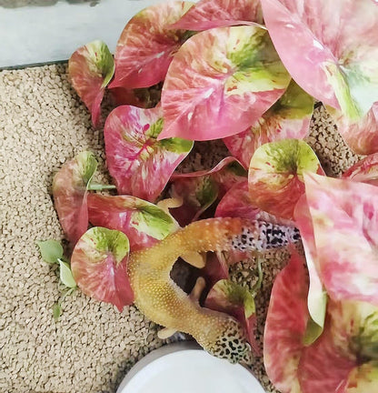Fake Reptile Plants for Terrarium,Habitat Decor,Artificial Plant | Reptile Terrarium Decor,Fake Plants with Base for Bearded Dragon Gecko Tortoise Snake Tank Accessories-Monstera