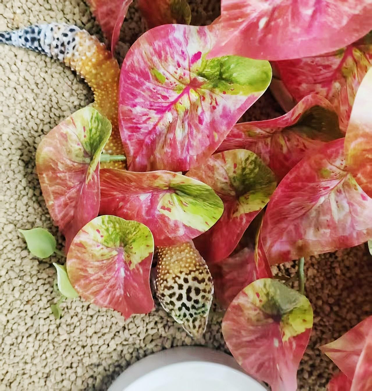 Fake Reptile Plants for Terrarium,Habitat Decor,Artificial Plant | Reptile Terrarium Decor,Fake Plants with Base for Bearded Dragon Gecko Tortoise Snake Tank Accessories-Monstera