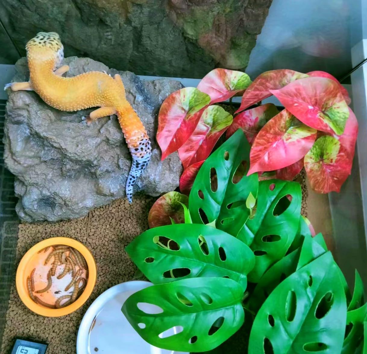 Fake Reptile Plants for Terrarium,Habitat Decor,Artificial Plant | Reptile Terrarium Decor,Fake Plants with Base for Bearded Dragon Gecko Tortoise Snake Tank Accessories-Monstera