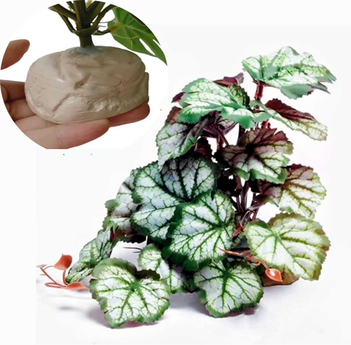 Fake Reptile Plants for Terrarium,Habitat Decor,Artificial Plant | Reptile Terrarium Decor,Fake Plants with Base for Bearded Dragon Gecko Tortoise Snake Tank Accessories-Monstera