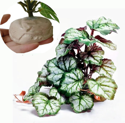 Fake Reptile Plants for Terrarium,Habitat Decor,Artificial Plant | Reptile Terrarium Decor,Fake Plants with Base for Bearded Dragon Gecko Tortoise Snake Tank Accessories-Monstera