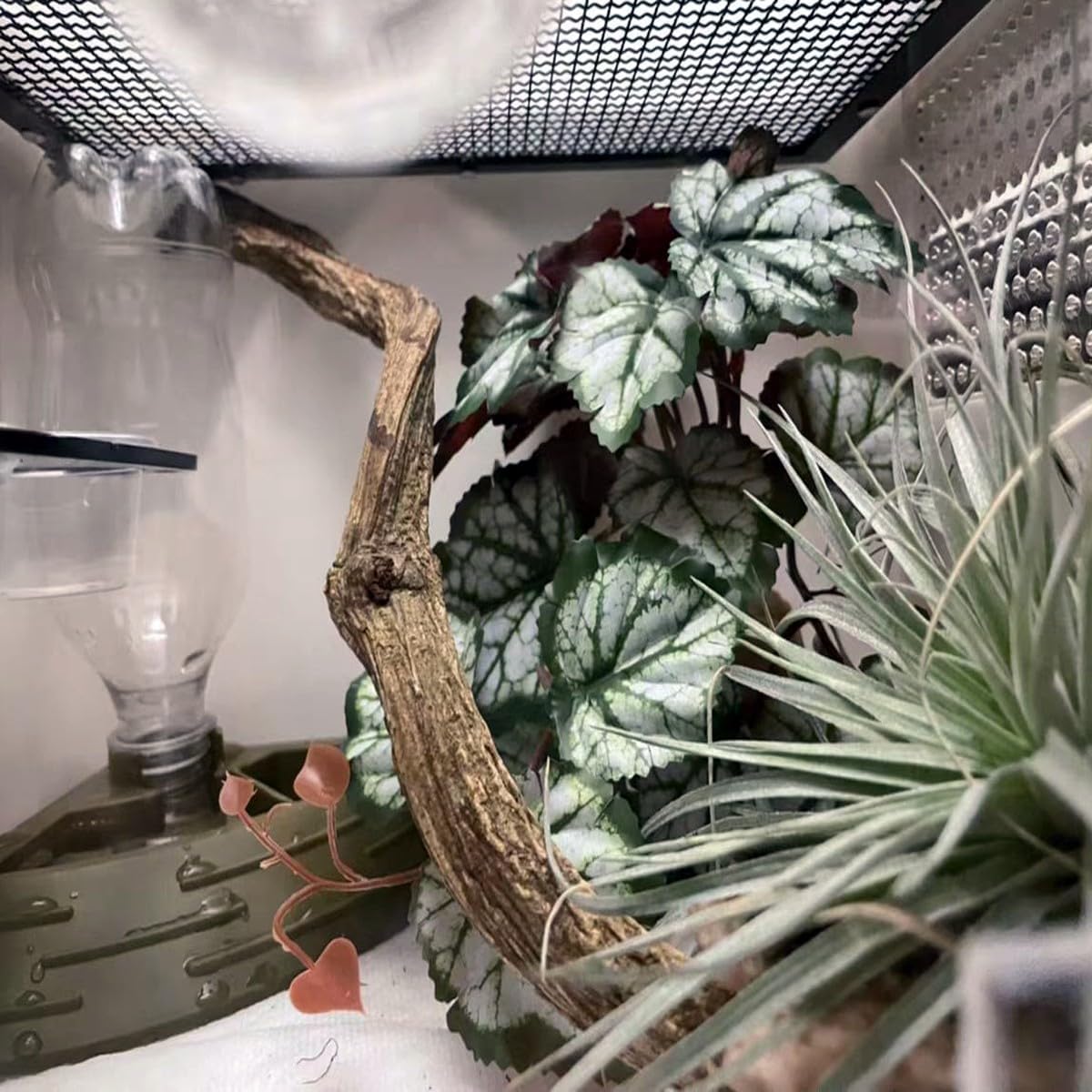 Fake Reptile Plants for Terrarium,Habitat Decor,Artificial Plant | Reptile Terrarium Decor,Fake Plants with Base for Bearded Dragon Gecko Tortoise Snake Tank Accessories-Monstera