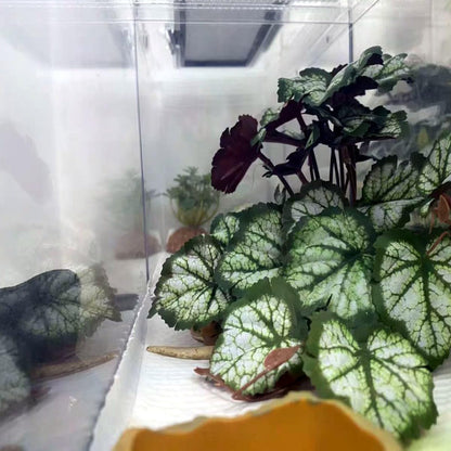 Fake Reptile Plants for Terrarium,Habitat Decor,Artificial Plant | Reptile Terrarium Decor,Fake Plants with Base for Bearded Dragon Gecko Tortoise Snake Tank Accessories-Monstera