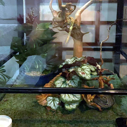 Fake Reptile Plants for Terrarium,Habitat Decor,Artificial Plant | Reptile Terrarium Decor,Fake Plants with Base for Bearded Dragon Gecko Tortoise Snake Tank Accessories-Monstera
