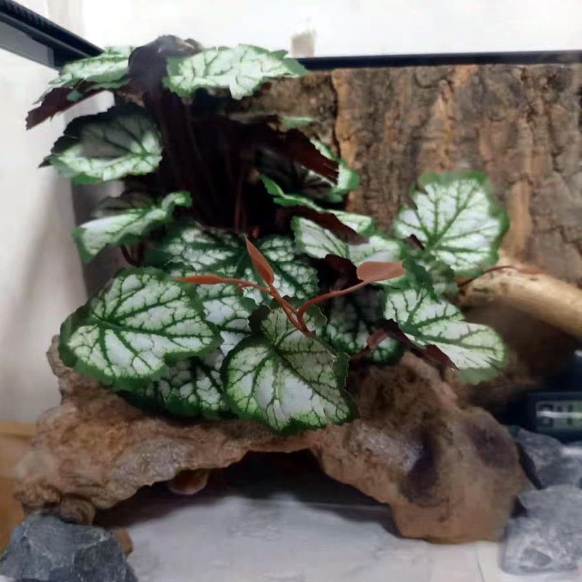 Fake Reptile Plants for Terrarium,Habitat Decor,Artificial Plant | Reptile Terrarium Decor,Fake Plants with Base for Bearded Dragon Gecko Tortoise Snake Tank Accessories-Monstera