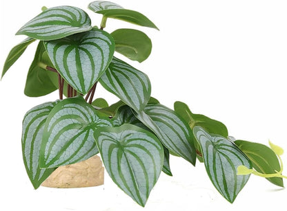 Fake Reptile Plants for Terrarium,Habitat Decor,Artificial Plant | Reptile Terrarium Decor,Fake Plants with Base for Bearded Dragon Gecko Tortoise Snake Tank Accessories-Monstera