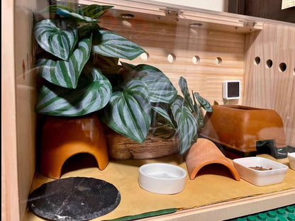 Fake Reptile Plants for Terrarium,Habitat Decor,Artificial Plant | Reptile Terrarium Decor,Fake Plants with Base for Bearded Dragon Gecko Tortoise Snake Tank Accessories-Monstera